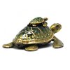 Turtle Family Diamanti Decorated Jewelled Trinket Box