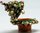 Christmas Candy Tree Trinket Box Collectible Trinket Box