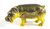 Hippopotamus Jewelled & Enamelled Trinket Box