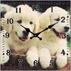 Dog Clock Labrador Pups (Yellow) - Glass Desk Clock