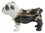 British Bulldog Blk & White Jewelled Trinket Box or Figurine