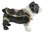 British Bulldog Blk & White Jewelled Trinket Box or Figurine