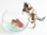 Miniature Porcelain Tabby Cat Figurine with Fish & Bowl (B)