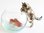 Miniature Porcelain Tabby Cat Figurine with Fish & Bowl (B)