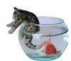 Miniature Porcelain Tabby Cat Figurine with Fish & Bowl (A)