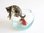 Miniature Porcelain Tabby Cat Figurine with Fish & Bowl (A)