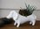 Dog Pot Planter -Ceramic Dachshund Allen Designs 32cm L White