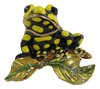 Frog Trinket Box or Figurine -Australian Coroboree Frog