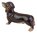 Dachshund Dog Ceramic Money Box or Figurine 16cm High