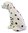 Dalmatian Dog Ceramic Money Box or Figurine 20cm High