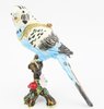 Budgerigar on Branch Jewelled Bird Trinket Box - Blue