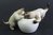 Miniature Porcelain, Hand Painted Siamese Cats on Bowl