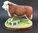 Border Fine Arts Monty Best of British Hereford Bull Figurine