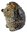 Hedgehog Diamante Jewelled Trinket Box or Figurine (Upright)
