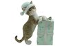 Cat Xmas figurine with Present Box Green Beanie Appr 11cm H