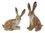 Hare Porcelain Rabbit Salt & Pepper Shakers App 9.5cm H