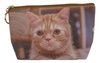 Ginger Tabby Cat Toiletry Cosmetic Bag - Image both sides