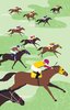 Racehorse Cotton Tea Towel Aussie Horse Design Approx 74x47cm