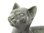 Quintessence (UK) Amber Stone resin Cat Limited Edition GREY