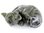 Quintessence Fury  Pen Holder Figurine, Stone Resin Cat Tabby