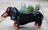 Dog Pot Planter Ceramic Dachshund Allen Designs 32cmL Blk/tan