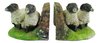 Black Faced Sheep Family Bookends - Cast Iron Aged Appearance