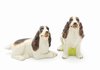 Spinger Spaniel Dog Salt & Pepper Shakers