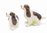 Spinger Spaniel Dog Salt & Pepper Shakers