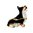 Pembroke Corgi Dog Jewelled Box or Figurine Tri Col Black