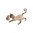 Cat Brooch Seal Point Siamese Fashion Jewellery App 5.5cmx4cm