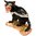 Tasmanian Devil Diamanti Decorated Trinket Box Figurine