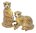 Meerkat Salt & Pepper Shakers - Ceramic