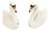 Swan Salt & Pepper Shakers - Ceramic - White