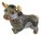 Rinconada De Rosa "Brave Bull"  Bull Figurine