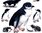 Penguin Cotton Tea Towel Aussie Design Approx 74x47cm