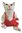 Miniature Ceramic Cat figurine, White Cat in Red Jumpsuit