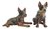 Australian Cattle Dog Salt & Pepper Shakers - Brown Tan