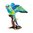 Australian Ringneck Parrot Jewelled Bird Trinket Box