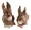 Rabbit Porcelain Salt & Pepper Shakers Brwn Sitting Crouching