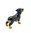 Miniature Ceramic Rottweiler Dog Figurines Set/2 Sit & Stand