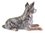 Australian Cattle Dog Lying Ceramic Figurine - Blue/Grey