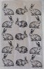 Hare or Rabbit Cotton Tea Towel Aussie Design