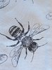 Bee Cotton TeaTowel  "Sketch bees"