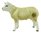 John Beswick Texel Lamb Sheep Figurine Ceramic Boxed JBF93