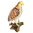 Australian Nankeen Kestrel Jewelled Bird Trinket Box Figurine