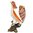 Australian Nankeen Kestrel Jewelled Bird Trinket Box Figurine