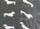 Dog Scarf - Dachshund Black scarf Approx 180x70cm