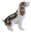 Spinger Spaniel Dog Miniature Figurine