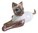 Miniature Ceramic Cat figurine, Choc Point Siamese - Lying