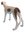 Miniature Ceramic Greyhound - White with Brown- Standing